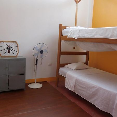 Tambopata Hostel 푸에르토말도나도 외부 사진