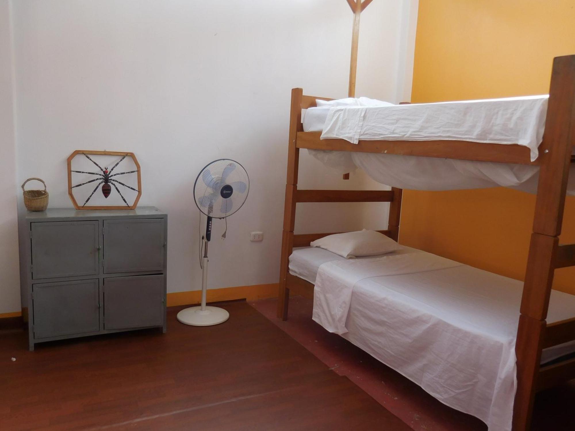 Tambopata Hostel 푸에르토말도나도 외부 사진