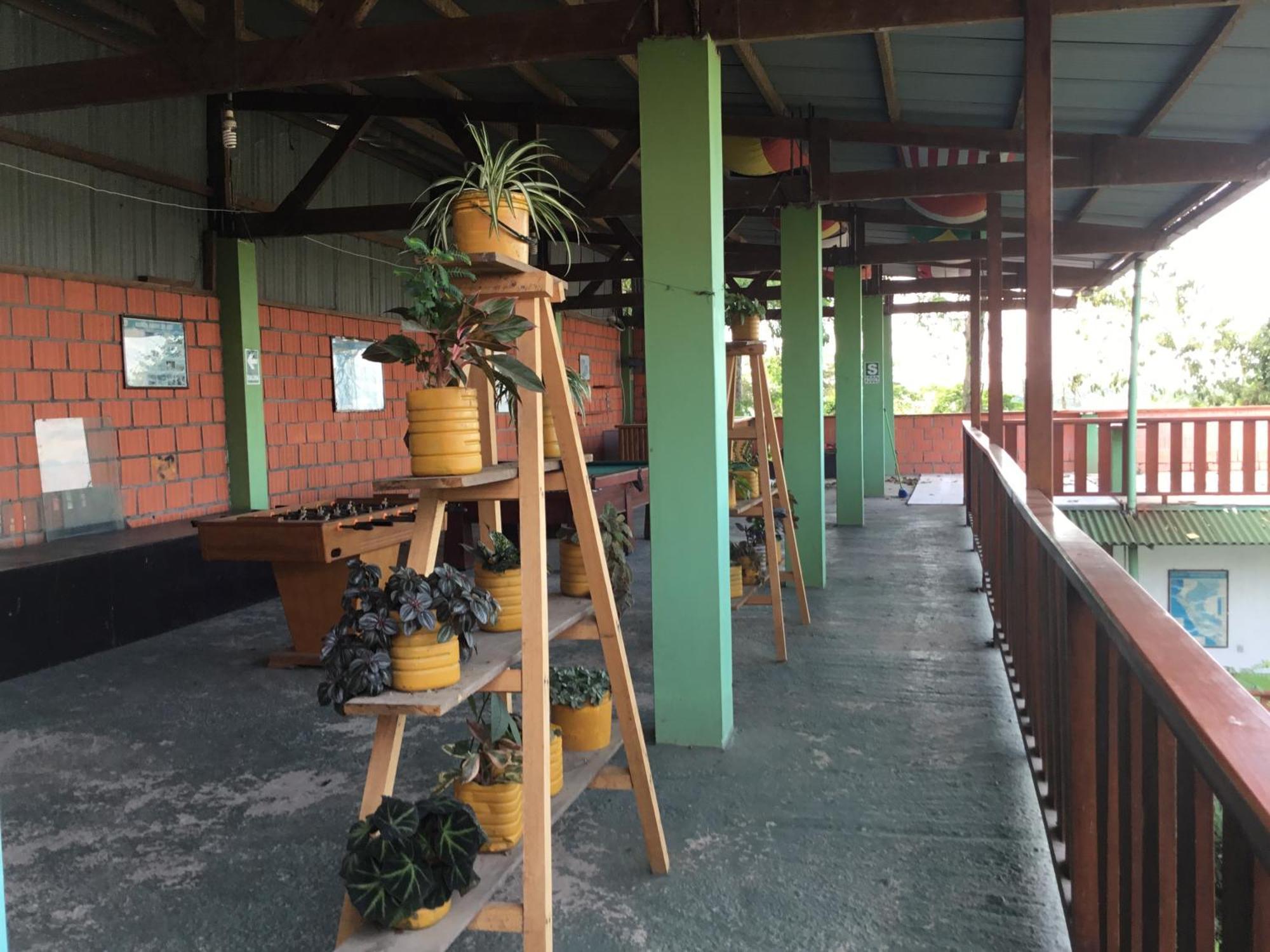 Tambopata Hostel 푸에르토말도나도 외부 사진