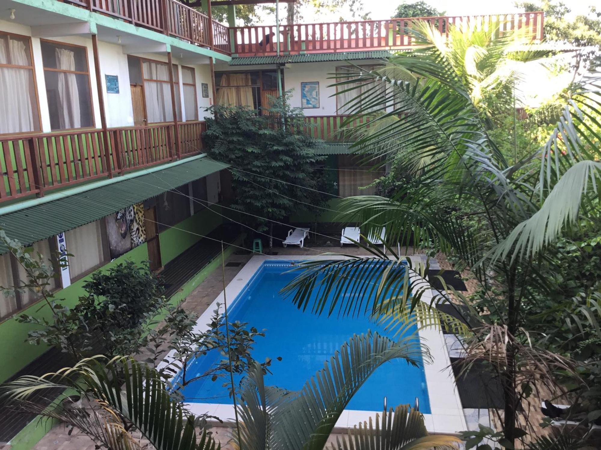 Tambopata Hostel 푸에르토말도나도 외부 사진