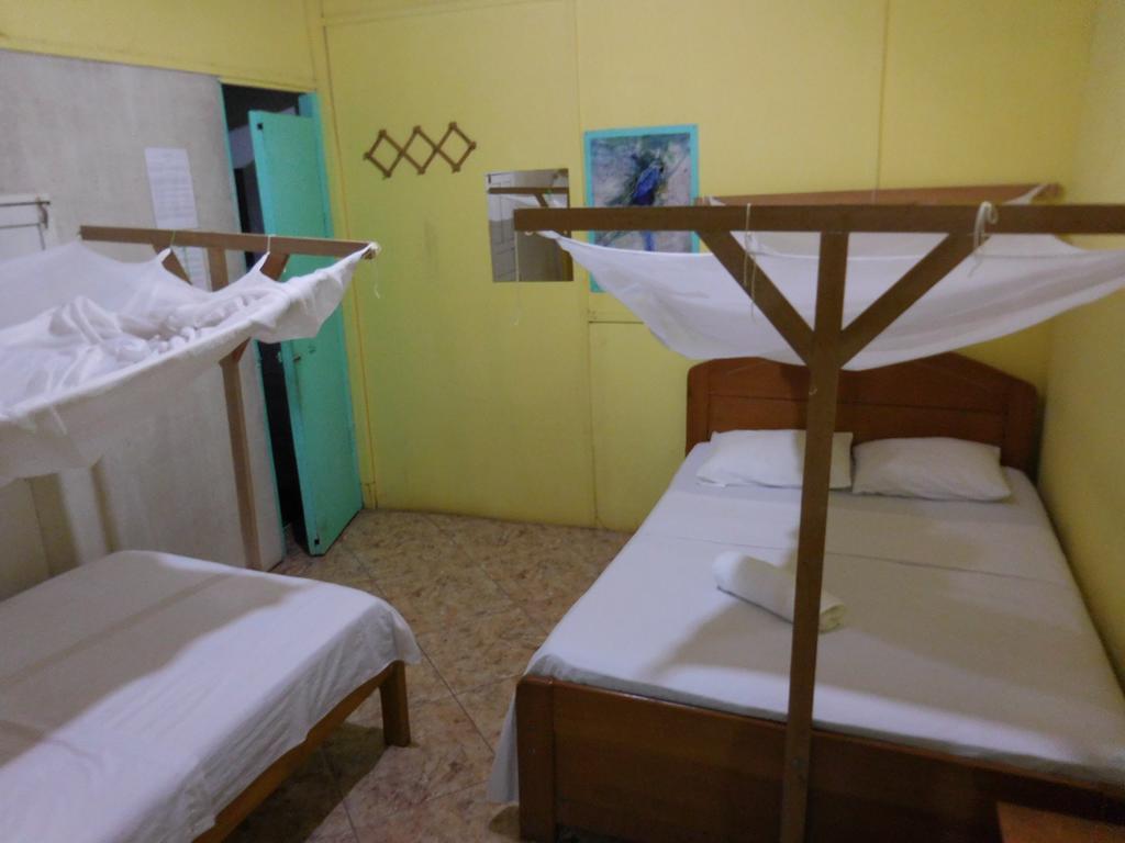 Tambopata Hostel 푸에르토말도나도 외부 사진