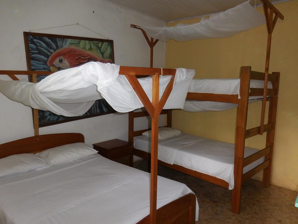 Tambopata Hostel 푸에르토말도나도 외부 사진
