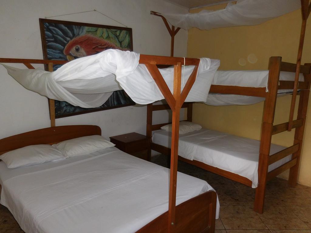 Tambopata Hostel 푸에르토말도나도 외부 사진